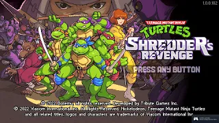 Teenage Mutant Ninja Turtles - Shredders Revenge: 6 Player Co-Op Playthrough No Commentary