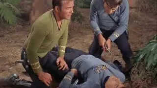 Spock takes a hit for Kirk