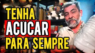 AÇÚCAR PARA 10, 20 ANOS OU MAIS | PROTOCOLO 550 DE SOBREVIVENCIALISMO | COMO ARMAZENAR ALIMENTOS