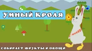 Умный Кроля  Собираем фрукты и овощи