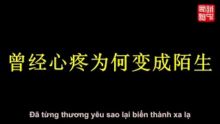 Nụ Hồng Mong Manh - Tôn Lộ【曾经心痛 - 孙露】