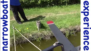 Walking the plank | Cruising to Leighton Buzzard on the Grand Union Canal