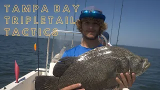 TripleTail Fishing Tactics in Tampa Bay,Fl.