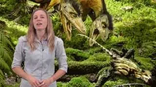 Dinosaur Myth Busted: Dinosaurs and mammals