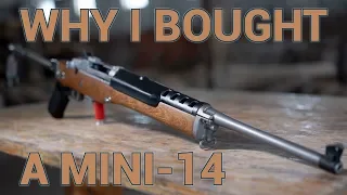Why I Bought a Ruger Mini-14 Ranch Rifle