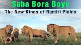 Meet The Ruthless SABA BORA BOYS of 7 Males Coalition | The Killers of Bob Jr. [Snyggve]