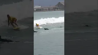 The Stoogie King Mack Crilley on 🔥🔥🔥 #bodyboarding #bodyboard #surfing