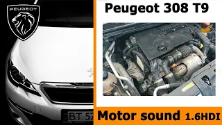 Motor sound 1.6 HDI Peugeot 308 T9 after 170000 km