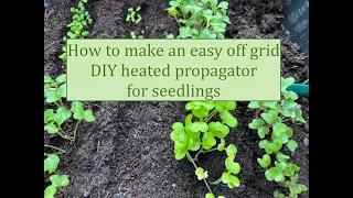 How to make an easy DIY heated propagator for seedlings