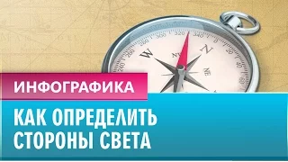 Как определить стороны света