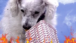 Dogzilla Attacks New York City