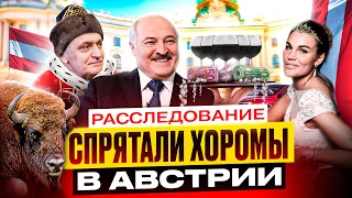 Мы нашли, что скрывает олигарх Лукашенко в Европе от санкций