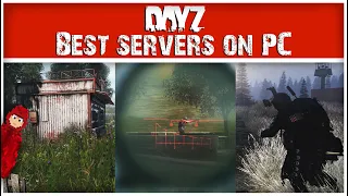 The BEST PC Servers You Need to Play on DayZ