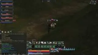 Lineage 2 pvp