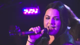 Evanescence - The Change (Live in Germany)