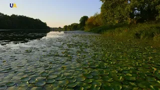 Придеснянские болота | Неизведанная Украина
