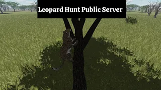 Leopard Hunt (Public Server Gameplay)