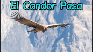 #El_Condor_Pasa2중주#철새는_날아가고#오카리나조계숙