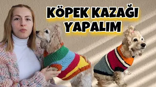 KÖPEK KAZAĞI NASIL YAPILIR? | KEDİ KAZAĞI | How to knit a dog sweater
