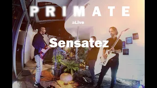 Primate  -Sensatez  (En Vivo)