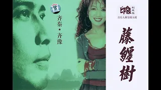 齊豫 & 齊秦 - 藤纏樹（印象劉三姐主題曲）