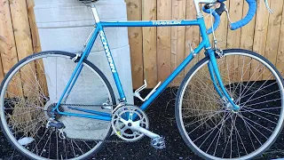 1989 Schwinn Traveler Road Bike Shimano 300EX Group True Temper Frame