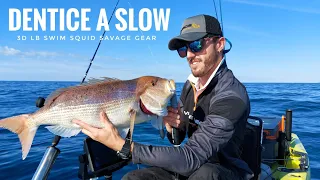 Slow in kayak: Grosso Dentice con mangiata in diretta