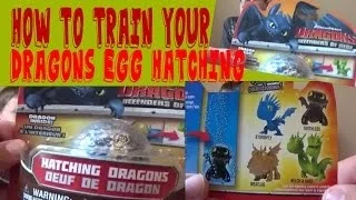 How To Train Your Dragon 2 Egg Hatching Toothless Toy Review