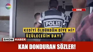 Kedi öldüren çocuklardan kan donduran sözler!