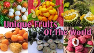 Unique Fruits Of The World || Unique Fruits || Amazing Fruits || Fruits