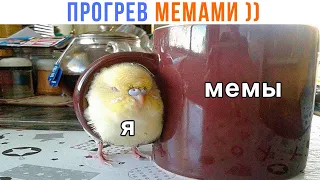 ПРОГРЕВ МЕМАМИ ))) | Приколы | Мемозг 1399