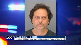 Metro Detroit man who hoarded cats will be back in court today