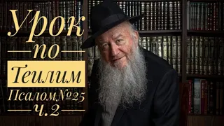 Урок по Теилим (Псалом№25 ч.2)| Царь Давид | раввин Элиягу Эссас