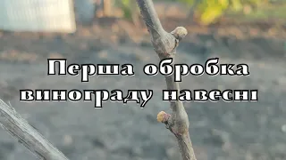 Перша обробка винограду навесні| Чим я обприскую виноград після розкривання навесні?