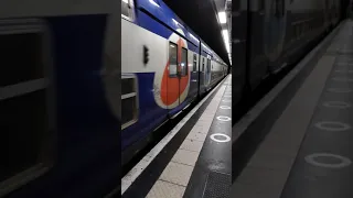 RER train leaving station