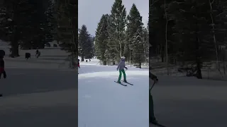 Moose Chases Skiers Down Slope in Wyoming