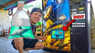 BUYING ALL THE FISH FROM THE VENDING MACHINE... (do not press)