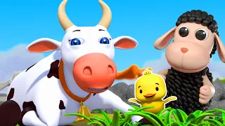 Old Macdonald Had A Farm ( Animal Version ) | More Nursery Rhymes For Kids | Baby Songs