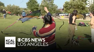 Crowds gather for Community & Unity People's Kite Festival in Chinatown