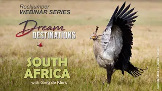 Webinar: Kruger National Park South Africa with Greg de Klerk