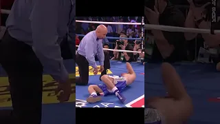 Nonito Donaire with Nasty KO of Manuel Vargas