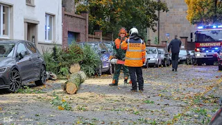 Sturm Ignatz entwurzelt auch in Wuppertal Bäume | 21.10.2021