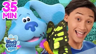 Blue & Josh Find a Butterfly 🦋 & More Adventures! VLOG Ep. 56 | Blue's Clues & You!