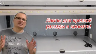 Лампы, под которыми вырастает толстая и коренастая рассада!