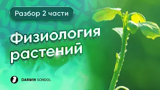 Тема №14 : Физиология растений