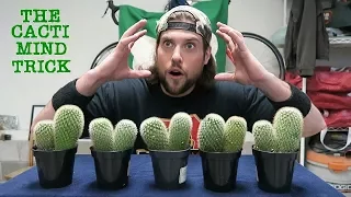 Can A Human Trick Their Mind Into Eating 10 Cacti? (Warning: Dumb) | L.A. BEAST