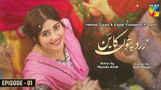 Zard Patton Ka Ban Episode 1 - Sajal Ali & Hamza Sohail Hum TV Drama