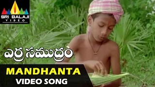 Erra Samudram Video Songs | Mandhanta Pothunte Video Song | Narayana Murthy | Sri Balaji Video