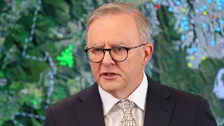 Albanese 'falls flat' in Newspoll results after tax cuts revision