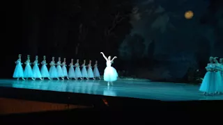 Giselle. Diana Vishneva. Few fragments & bows. 28.04.15